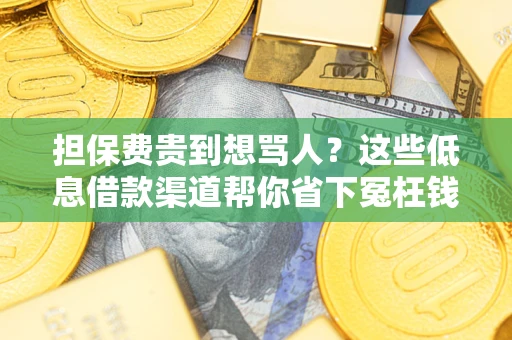 北京担保费贵到想骂人？这些低息借款渠道帮你省下冤枉钱